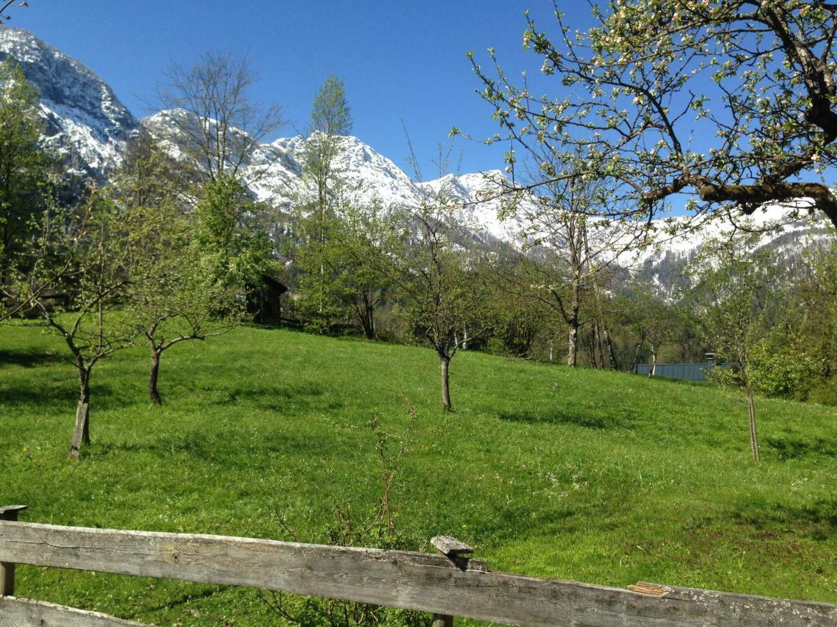 Chalet Ramsau 8 Бад Гоисерн Экстерьер фото